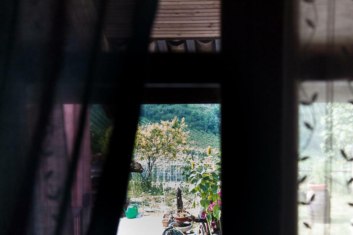 Agriturismo La Ca Veja Monforte D'Alba Luaran gambar