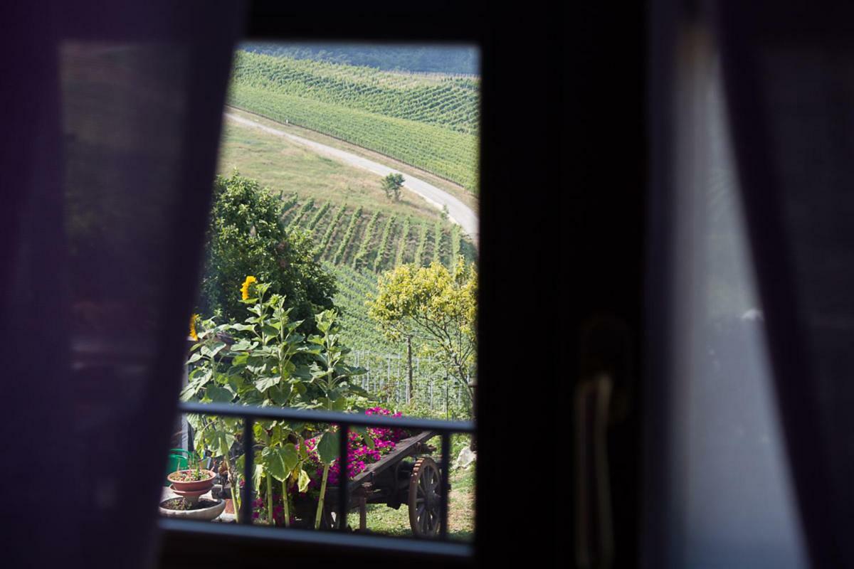 Agriturismo La Ca Veja Monforte D'Alba Luaran gambar